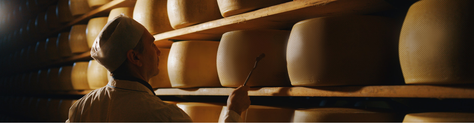 Hajdú sajt termékeink